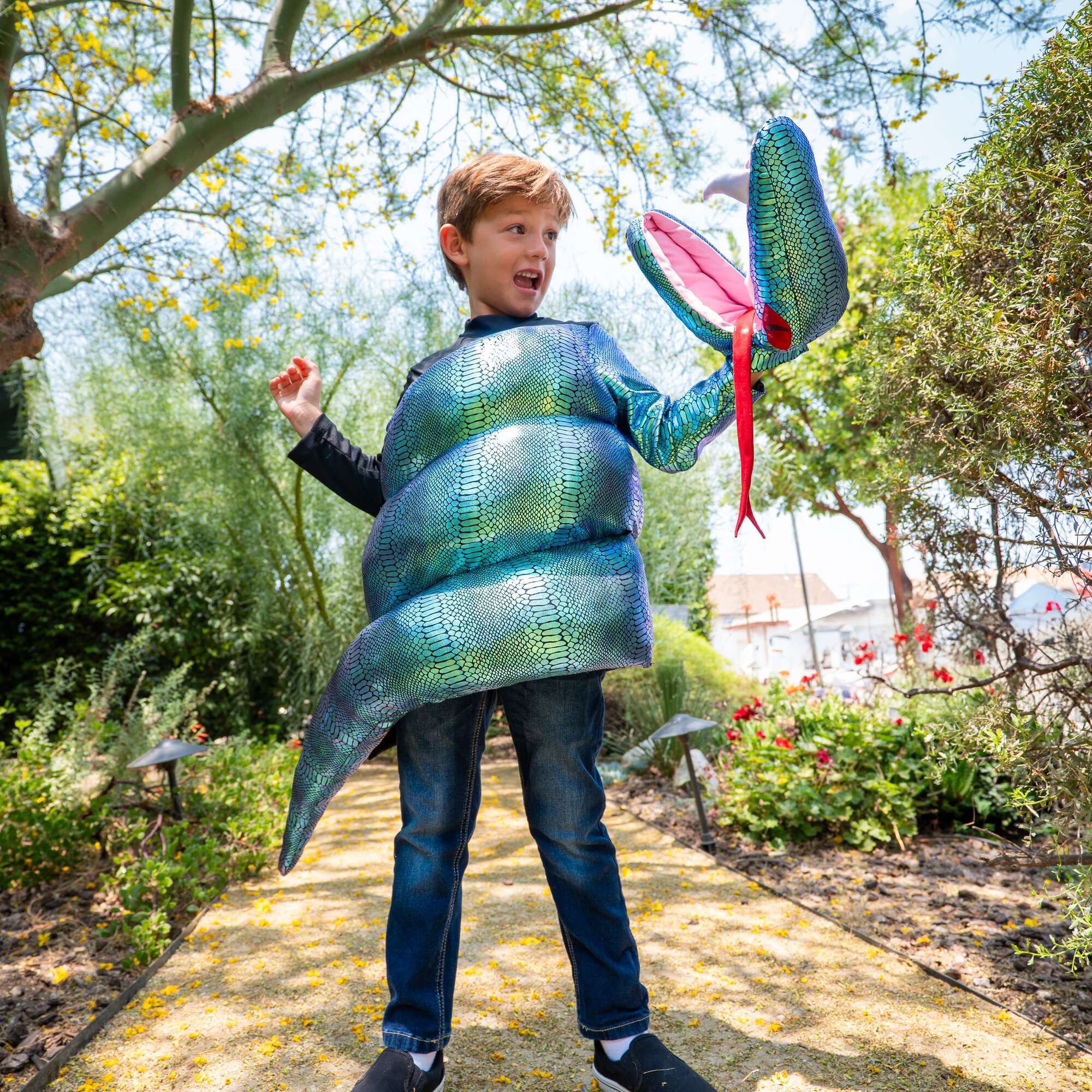 Boys Halloween Costumes