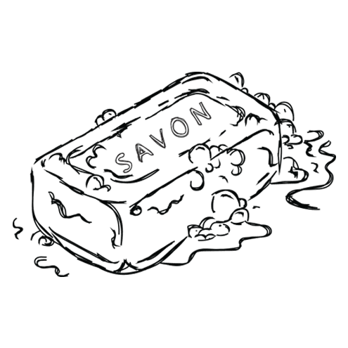 My Child Said the F-Word, Now What? 