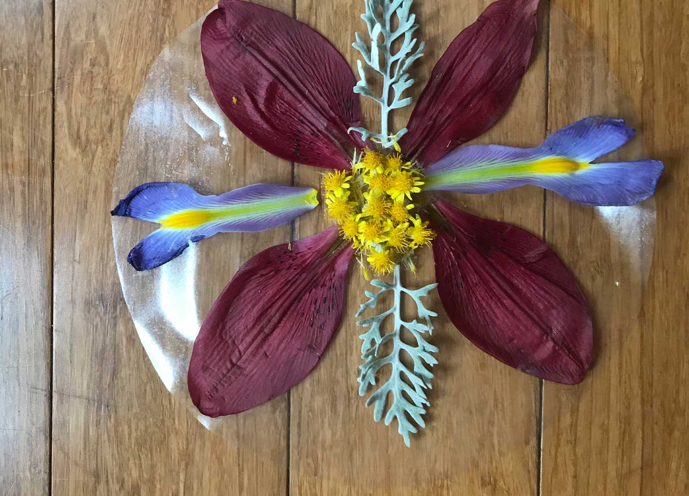 flowers pressed into a circle cut out of contact papertw