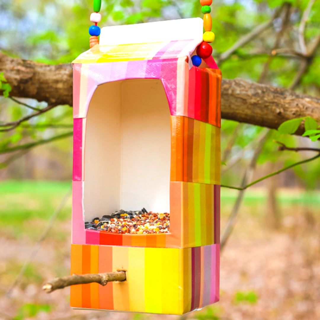 Colorful bird feed hanging from tree branch.