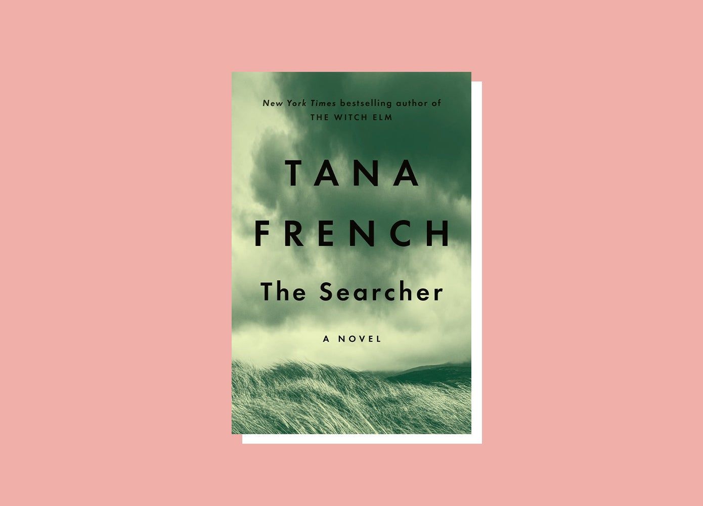 cover of The Searcher by Tana French