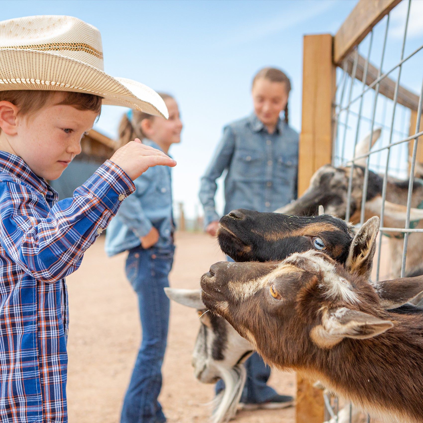 Brush Creek Lil Wranglers Club kids activities