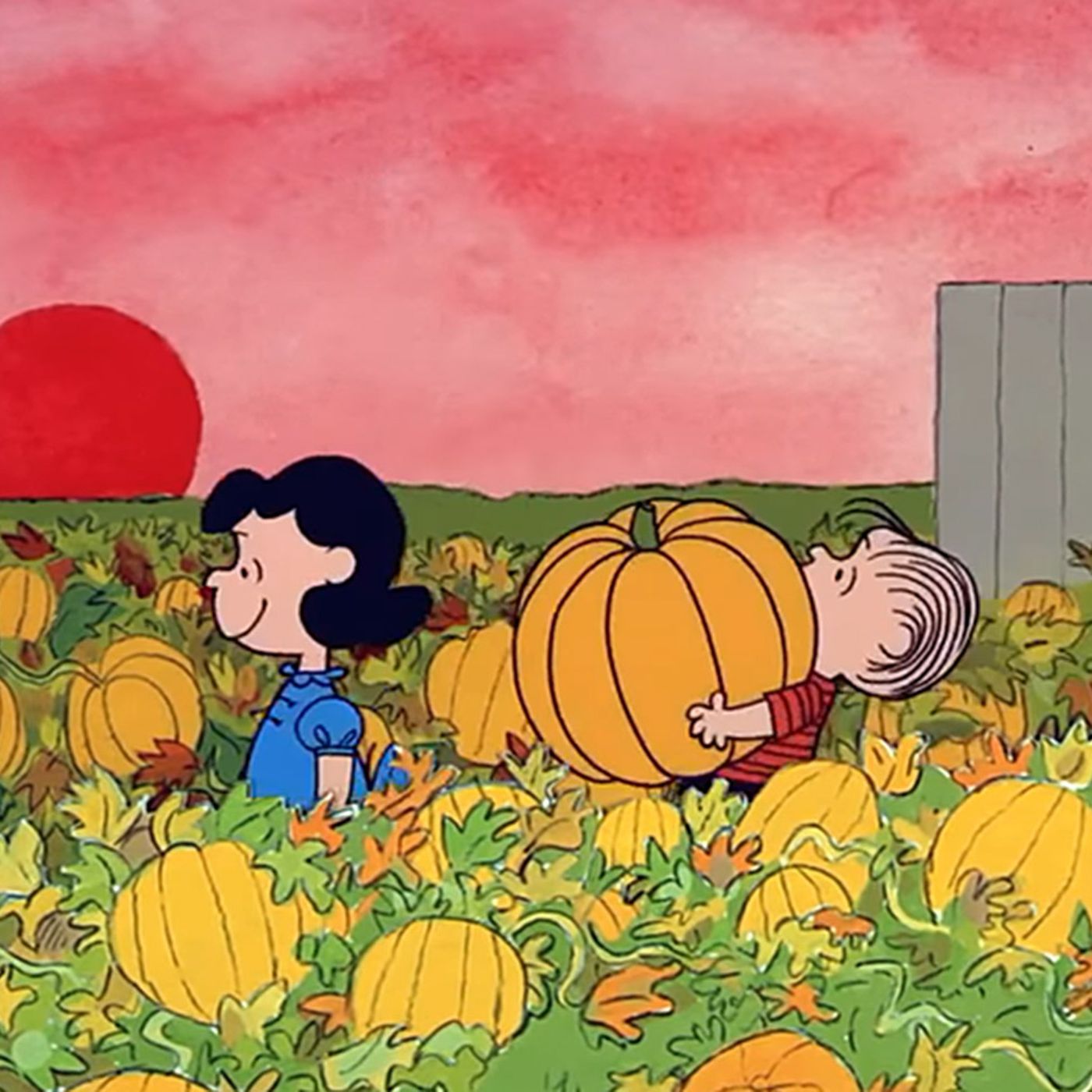 Linus carrying a pumpkin from Charlie Brown
