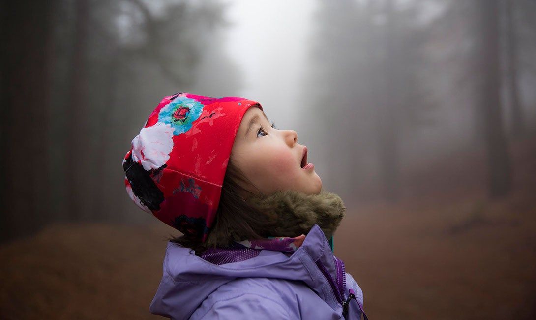 Child looking up at the sky in a forest