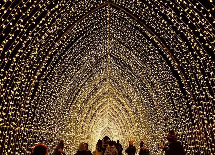 Lightscape at Brookyn Botanic Gardens