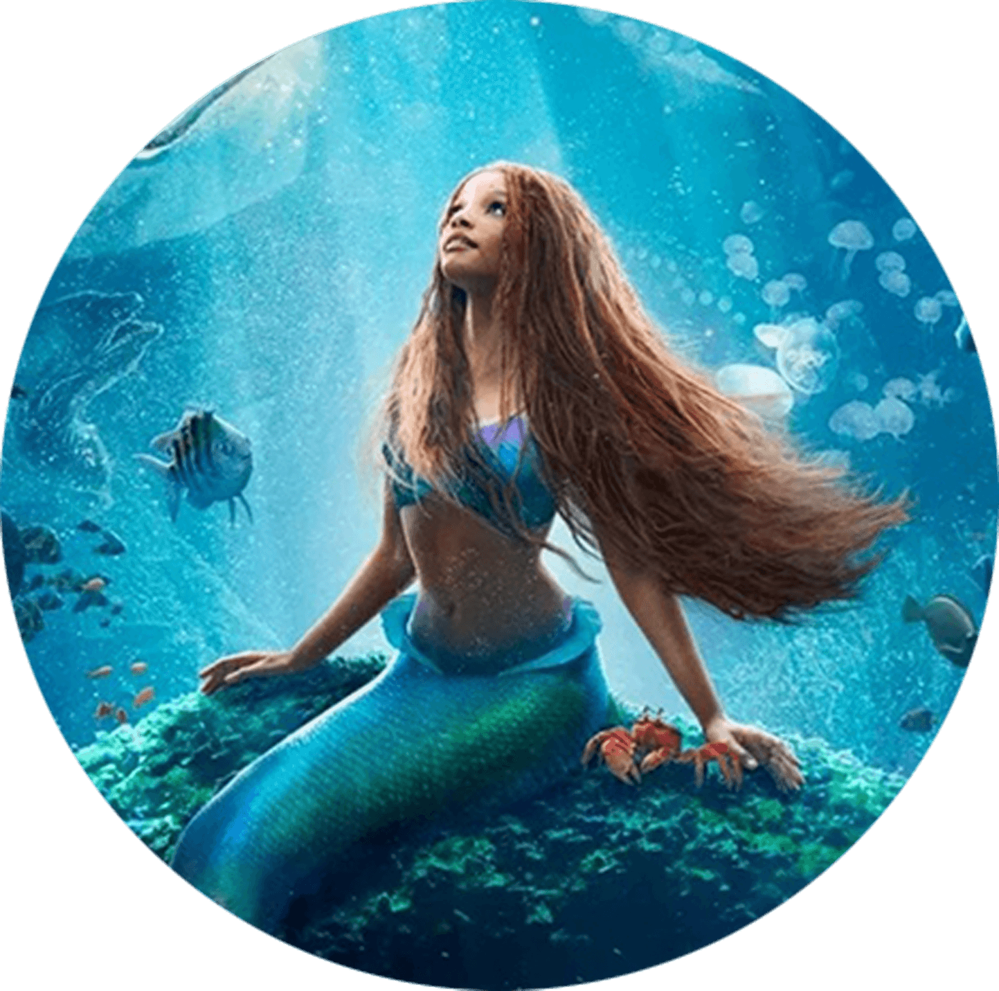 Little Mermaid costume 