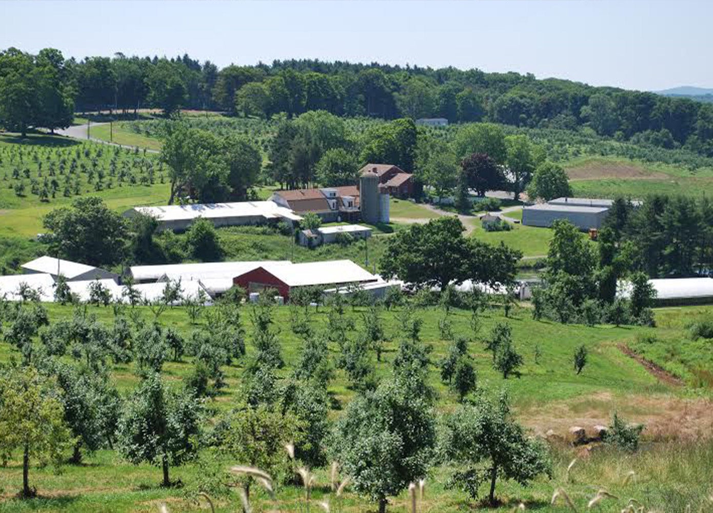View of March Farm from above: apple trees and various barns are shown.