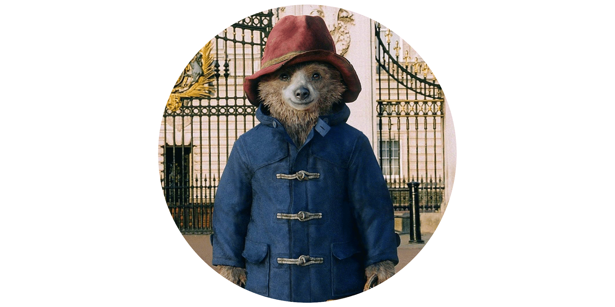 Paddington Bear