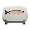 Handpainted Wooden Stool, Tucker the Trout - Kids Seating - 2