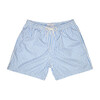 Theo Men's Swim Trunk, Blue Stripe - Swim Trunks - 1 - thumbnail
