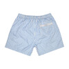 Theo Men's Swim Trunk, Blue Stripe - Swim Trunks - 2