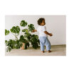 Baby Harem Pant, Dandelion - Pants - 2