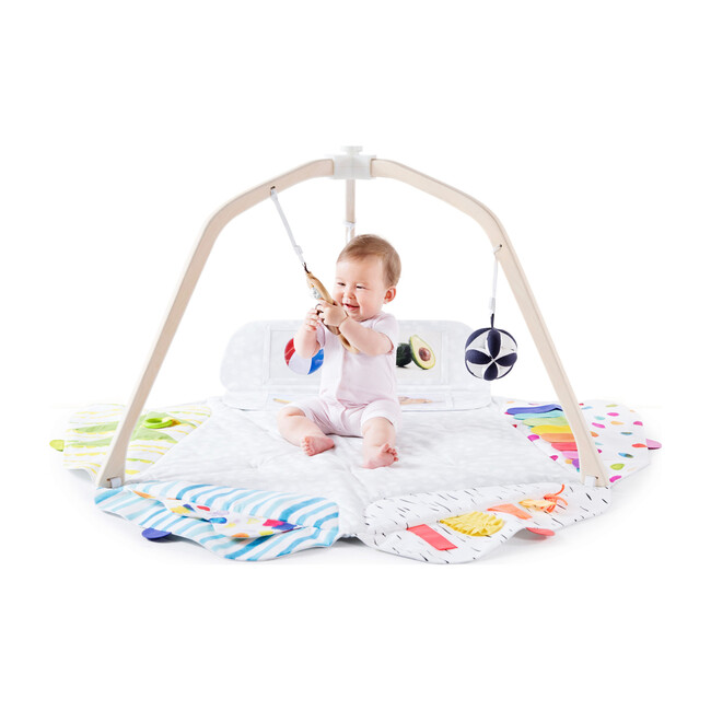 Play Gym - Activity Gyms - 1