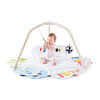 Play Gym - Activity Gyms - 1 - thumbnail