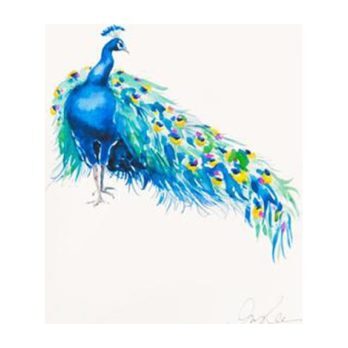 Peacock Print, Unframed - Art - 1