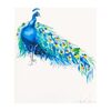Peacock Print, Unframed - Art - 1 - thumbnail