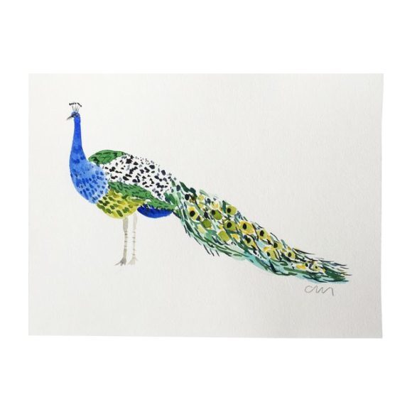 Peacock Standing, 11" x 14" (Unframed) - Art - 1