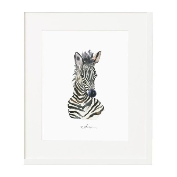Baby Zebra Print, Framed - Art - 1