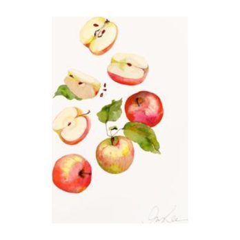 Apple Print, Unframed - Art - 1