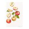 Apple Print, Unframed - Art - 1 - thumbnail