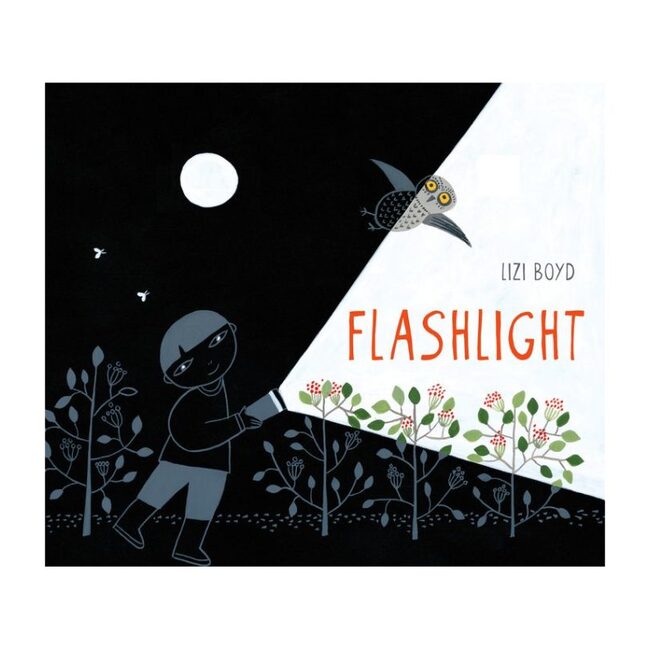 Flashlight - Books - 1