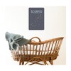 Zodiac Poster Cards, Scorpio - Keepsakes & Mementos - 2