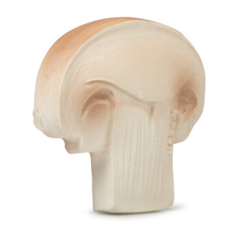 Mushroom Baby Toy