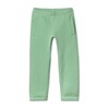 Cozy Brushed Sweatpants, Light Green - Sweatpants - 1 - thumbnail