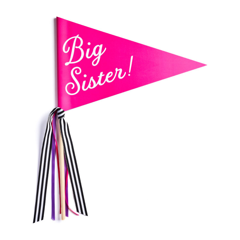 Big Sister Banner, Pink