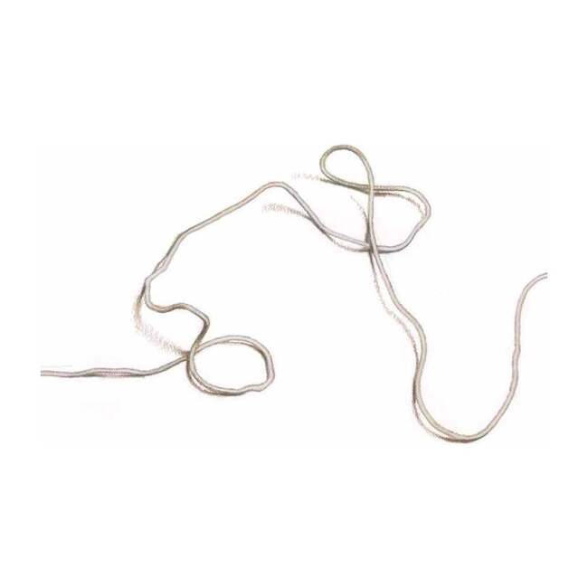 What to Do with a String - Books - 4