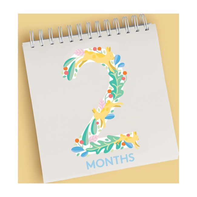 First Year Baby Calendar and Photo Prop Cards - Books - 3