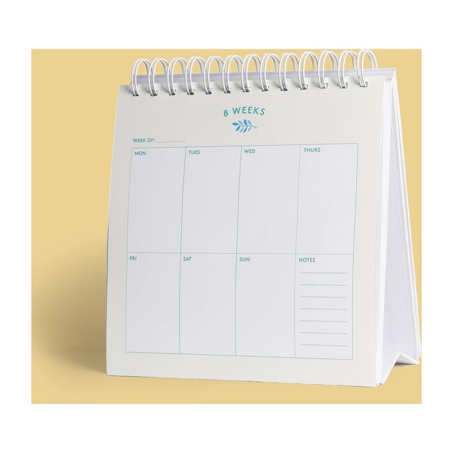 First Year Baby Calendar and Photo Prop Cards - Books - 4