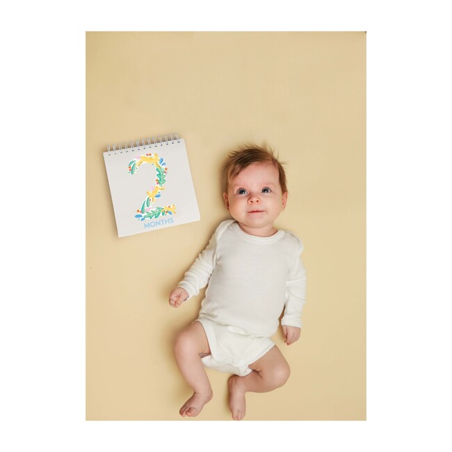 First Year Baby Calendar and Photo Prop Cards - Books - 5