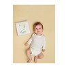 First Year Baby Calendar and Photo Prop Cards - Books - 5