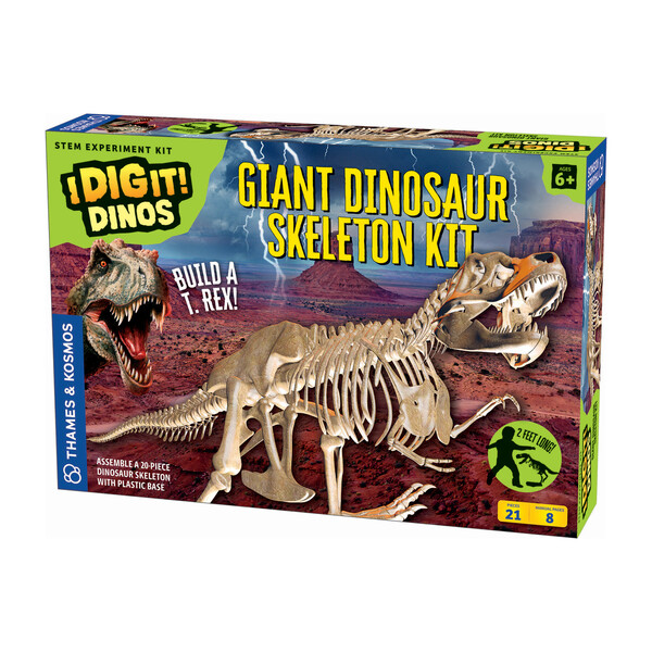 large dinosaur skeleton toy