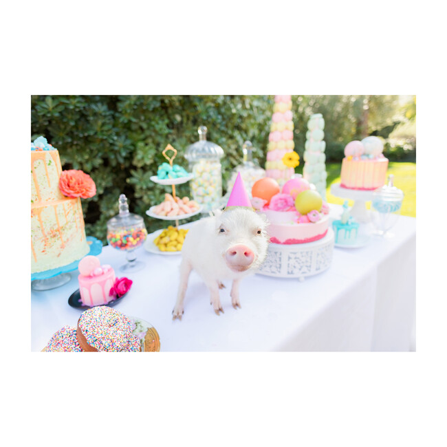 Picnic Party II