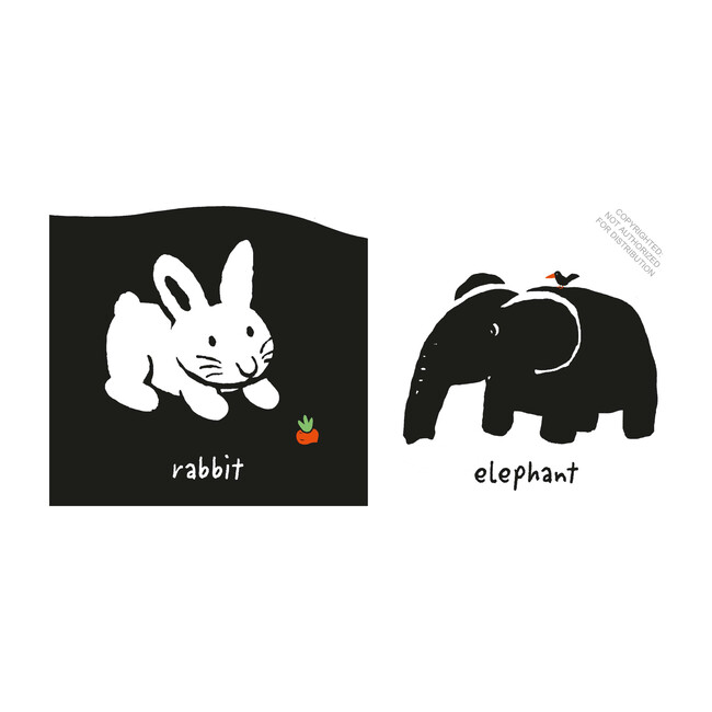 Baby Basics My Animals Twirl Books