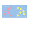 TouchThinkLearn: Wiggles - Books - 7