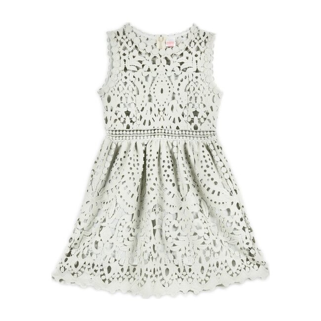 Lush Lace Dress - Dresses - 1