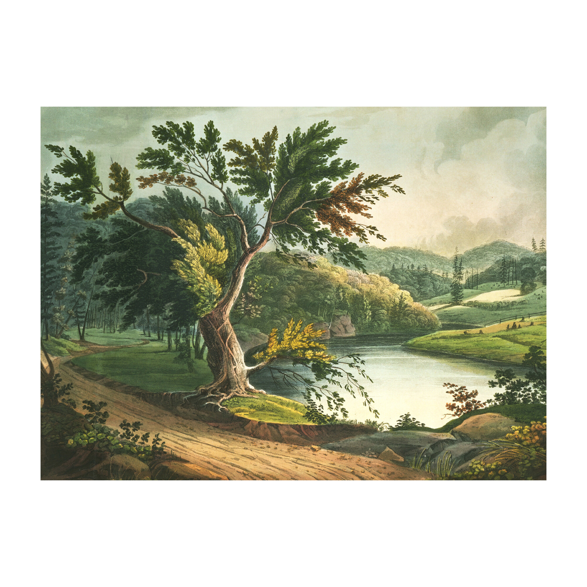 Jessup Landing Removable Mural
