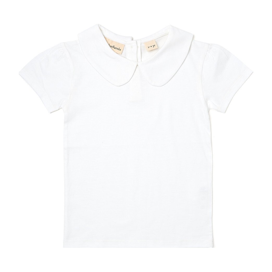 collar t shirt plain