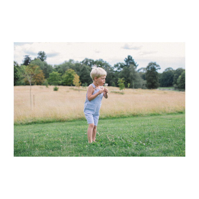 Blue Seersucker Overall Shorts - Overalls - 2