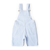 Blue Seersucker Overall Shorts - Overalls - 3
