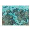 Gray Malin The Beach Double-Sided 500-Piece Puzzle - Puzzles - 2