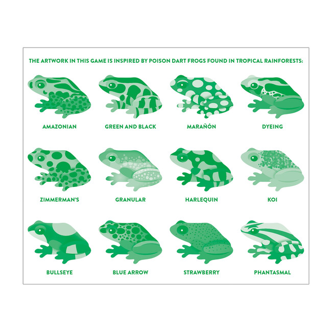Shaped Memory Match, Tropical Frogs - Games - 3