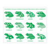 Shaped Memory Match, Tropical Frogs - Games - 3