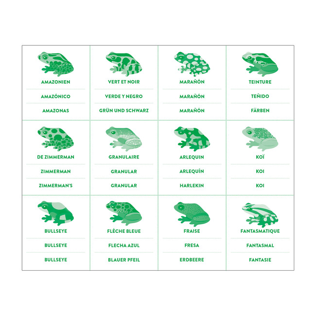 Shaped Memory Match, Tropical Frogs - Games - 4