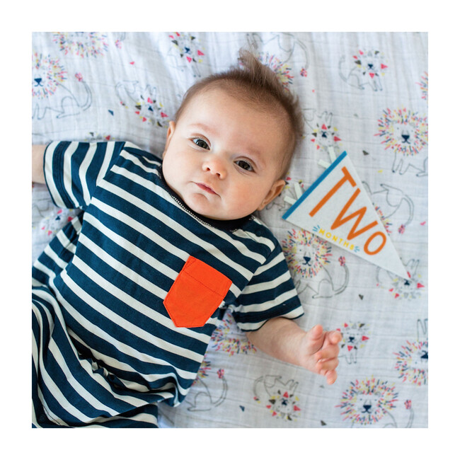 Little Kaleidoscope Petit Milestone Pennant