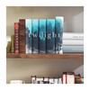 The Twilight Saga Book Set - Books - 2
