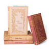 Little Women Book Set - Books - 3
